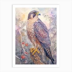 Peregrine Falcon Bird Feathers Art Print