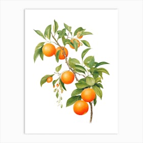 Oranges On A Tree 1 Art Print