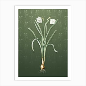 Vintage Narcissus Candidissimus Botanical on Lunar Green Pattern Art Print