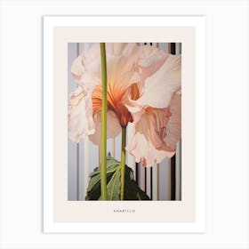 Flower Illustration Amaryllis 4 Poster Art Print