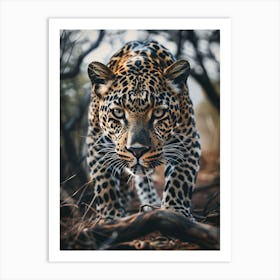 Leopard In The Forest Art Print