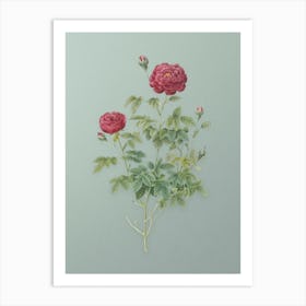 Vintage Burgundy Cabbage Rose Botanical Art on Mint Green n.0520 Art Print