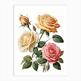 Vintage Galleria Style Rose Art Painting 25 Art Print