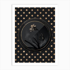 Shadowy Vintage Amaryllis Broussonetii Botanical in Black and Gold n.0025 Art Print