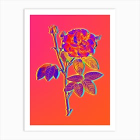 Neon French Rose Botanical in Hot Pink and Electric Blue n.0045 Art Print