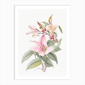 Mandevilla Floral Quentin Blake Inspired Illustration 2 Flower Art Print