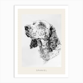 Spaniel Detailed Line Sketch 3 Poster Art Print