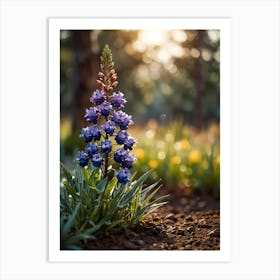 Lupine Flower Art Print