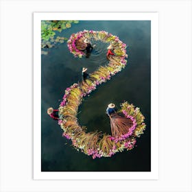 Harvesting Water Lilies V15 Art Print