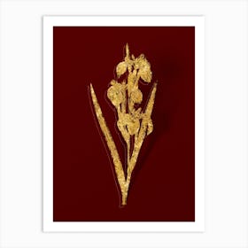 Vintage Irises Botanical in Gold on Red n.0082 Art Print