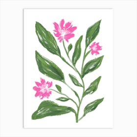 Corn Flower Art Print