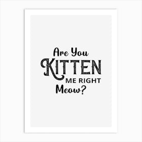 Are You Kitten Me Right Meow Art Print