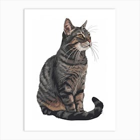 American Wirehair Cat Clipart Illustration 1 Art Print