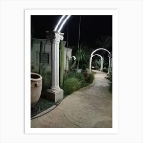 Garden At Night Art Print