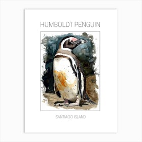 Humboldt Penguin Santiago Island Watercolour Painting 1 Poster Art Print