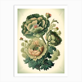 Ranunculus 3 Floral Botanical Vintage Poster Flower Art Print