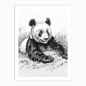 Giant Panda Resting In A Field Ink Illustration 1 Art Print