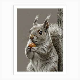 Squirrel Eating A Peanut Art Print