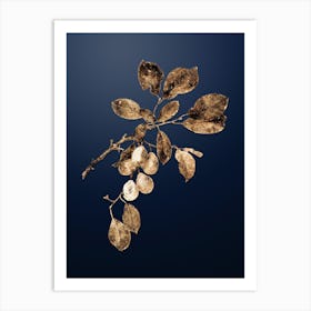 Gold Botanical Cherry on Midnight Navy n.2132 Art Print