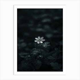 Flower In The Dark 22 Art Print