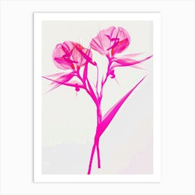 Hot Pink Bird Of Paradise 1 Art Print