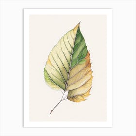 Birch Leaf Warm Tones 2 Art Print