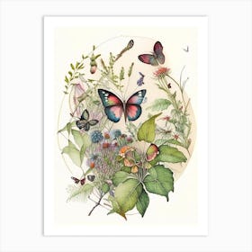 Butterflies On Plants Watercolour Ink 1 Art Print