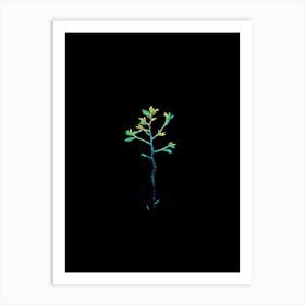 Tree In The Dark 9 Art Print