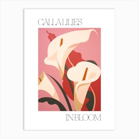 Calla Lilies In Bloom Flowers Bold Illustration 2 Art Print