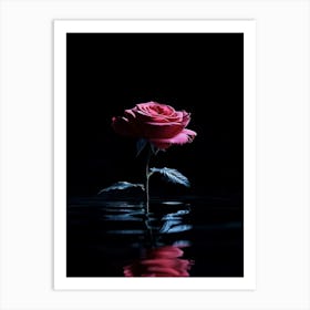 Rose In Water 2 Art Print