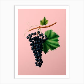 Vintage Berzemina Grape Botanical on Soft Pink n.0834 Art Print