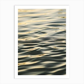 Water Ripples Art Print