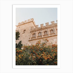 Spain Orange Tree Art Print