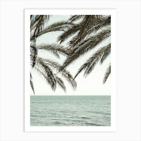 Palm Trees by the Beach_2287046 Art Print