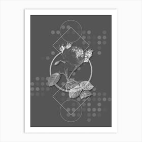 Vintage Centifolia Roses Botanical with Line Motif and Dot Pattern in Ghost Gray Art Print