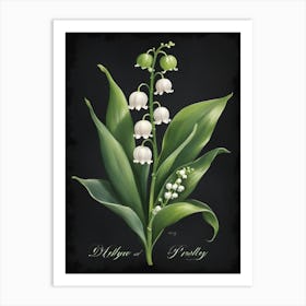 Lily Of The Valley 6 Art Print