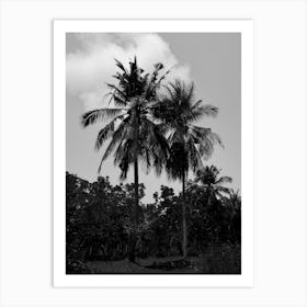Palm Trees In Black Art Print