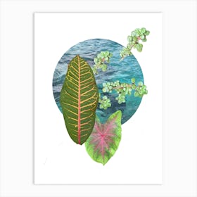 Cozumel Plant Life Art Print