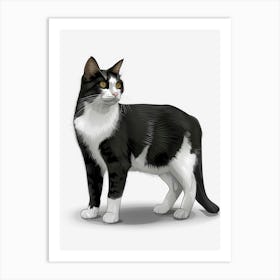 Black And White Cat 8 Art Print