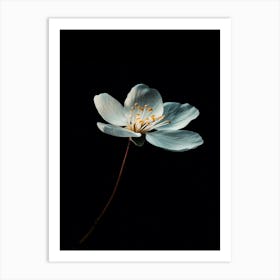 Flower On A Black Background 7 Art Print