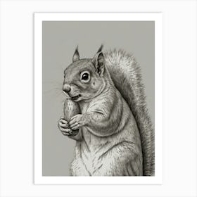 Squirrel Eating An Egg Art Print