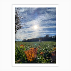 Autumn Leaves In A Field 3 Art Print