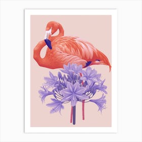 Andean Flamingo And Agapanthus Minimalist Illustration 1 Art Print