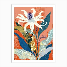 Colourful Flower Illustration Edelweiss 1 Art Print