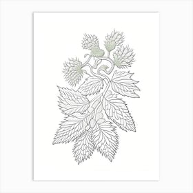 Hops Herb William Morris Inspired Line Drawing 2 Art Print