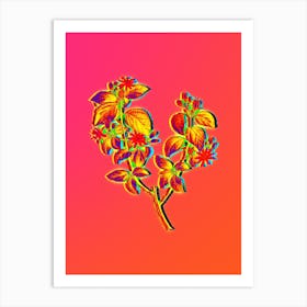 Neon Crossberry Botanical in Hot Pink and Electric Blue n.0104 Art Print