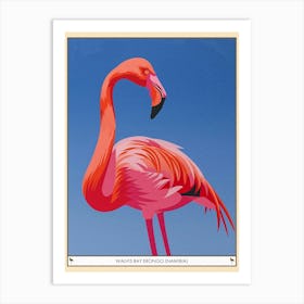 Greater Flamingo Walvis Bay Erongo Namibia Tropical Illustration 4 Poster Art Print
