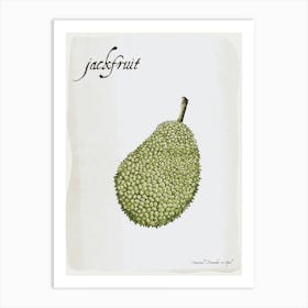 Jackfruit Vintage illustration Print Art Print