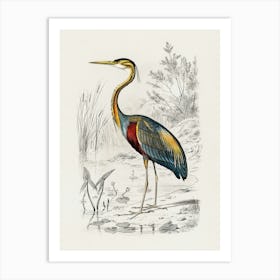 Heron I Canvas Print Art Print