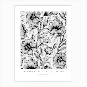 Morning Glory B&W Vintage Botanical Poster Art Print